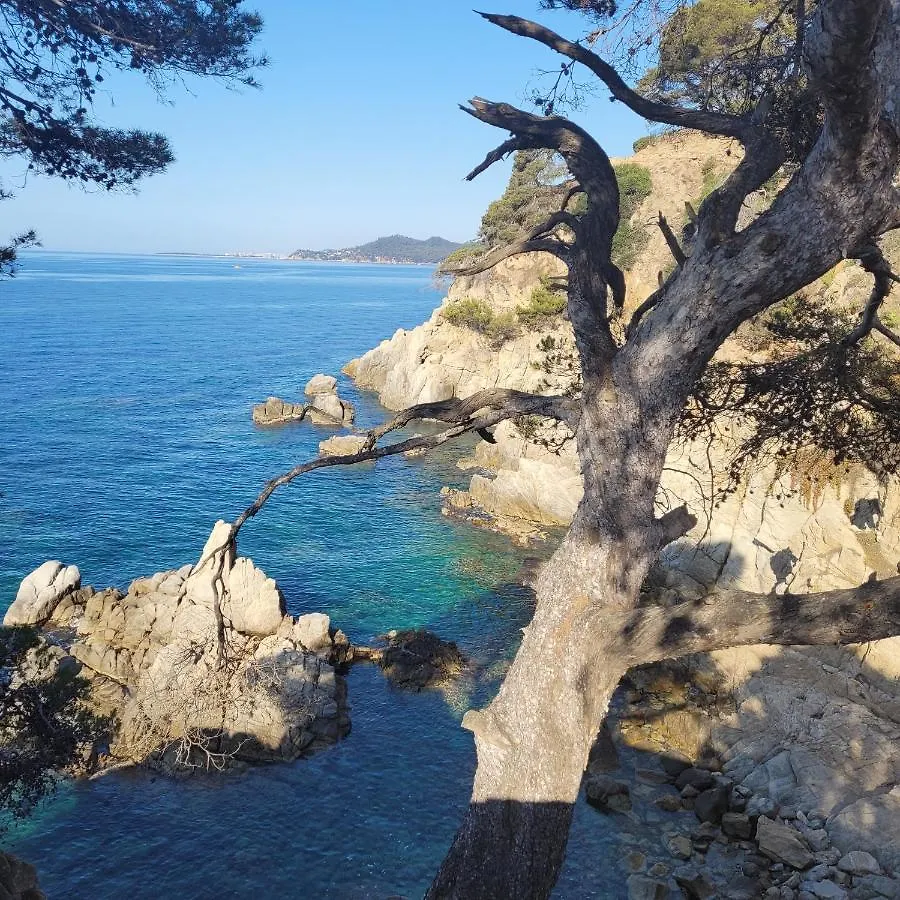 Delante Del Mar Apartamento Lloret de Mar 0*,